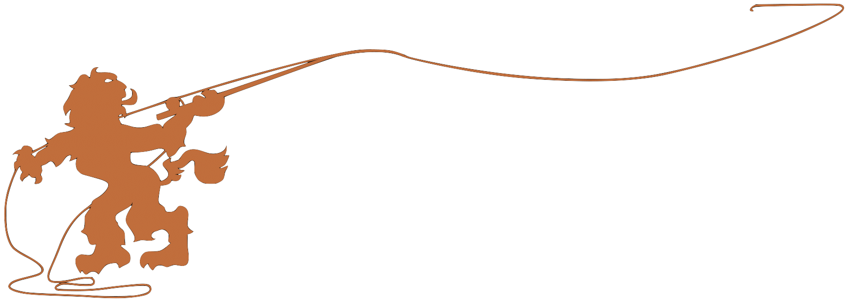Fly Casting Sport VNV Vliegvissen