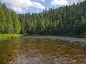 Voordeel-voor-leden_Fish-n-Trips_Finland